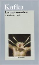 Immagine non disponibile