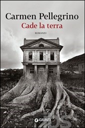 Immagine non disponibile