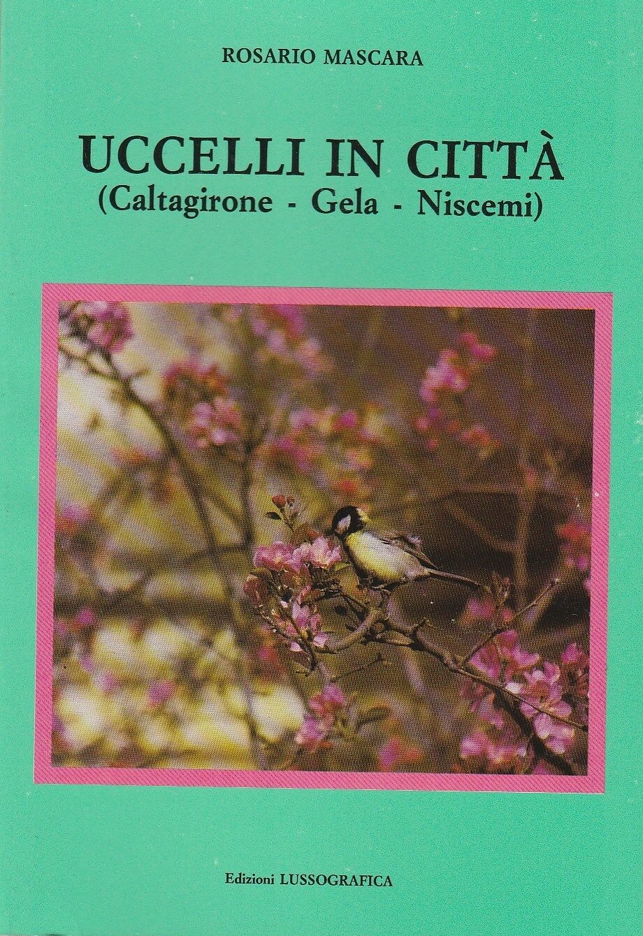 Uccelli in città)