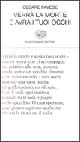 Immagine non disponibile
