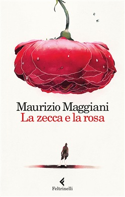 Immagine non disponibile