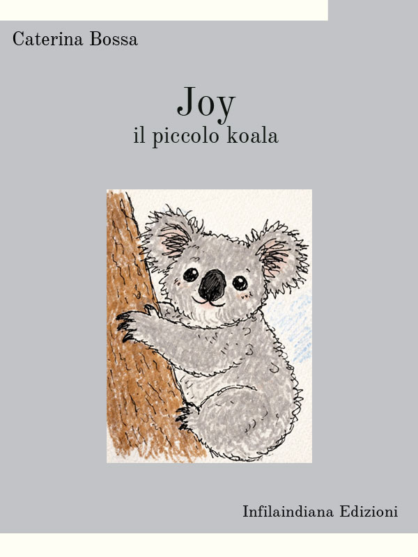 Joy, il piccolo koala