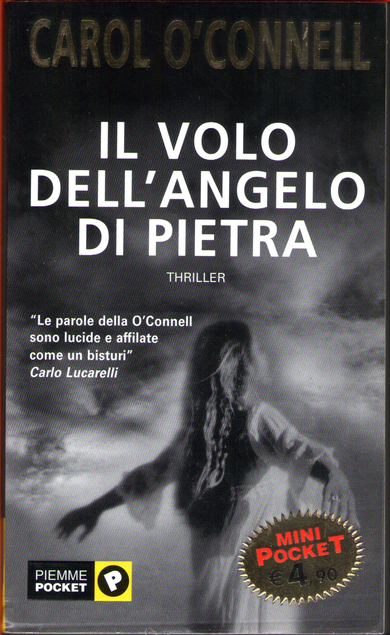 Immagine non disponibile
