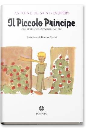  Il Piccolo Principe