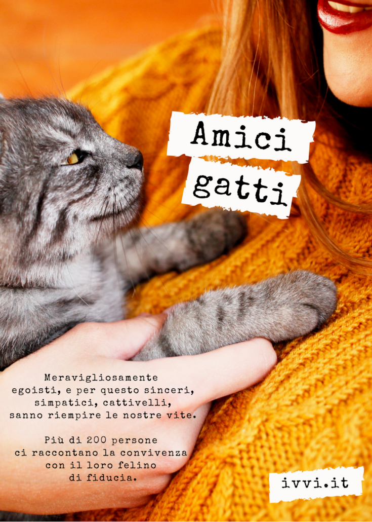 Amici Gatti)