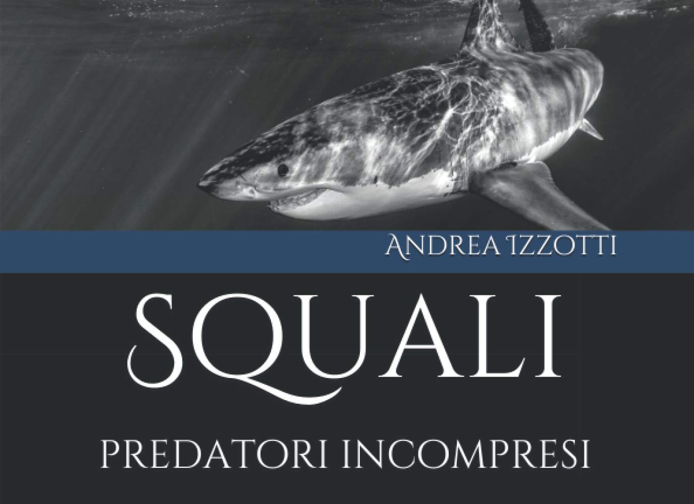 Squali: Predatori incompresi 
